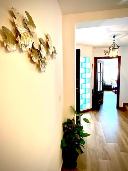 Appartement Mychoice Almadraba Rota