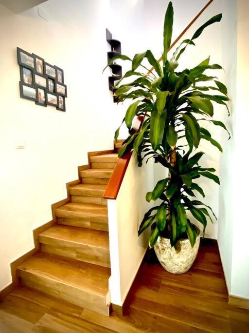 Apartment Mychoice Almadraba