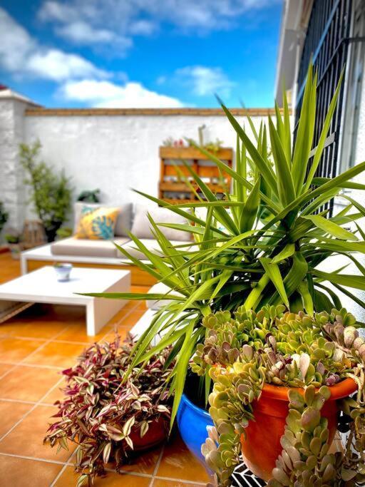 Apartment Mychoice Almadraba *